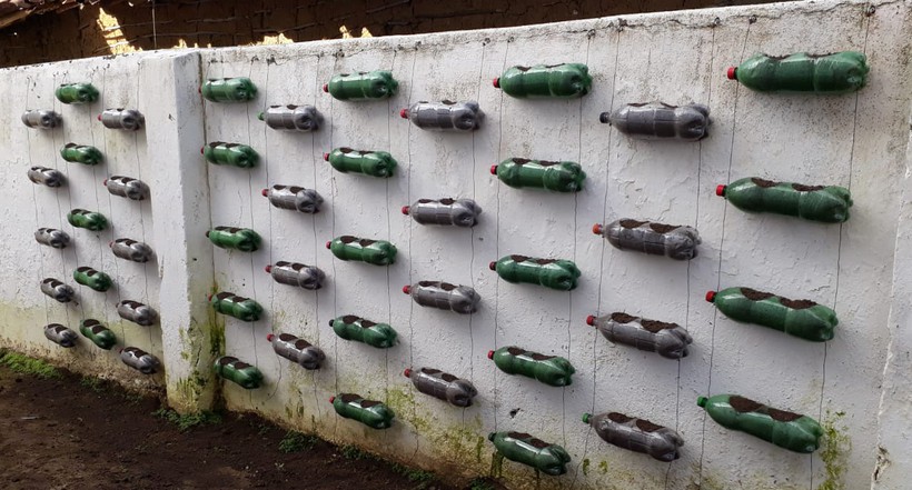 Horta vertical com garrafas peti também representa cuidar do meio ambiente