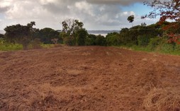 Com assistência técnica da Prefeitura, agricultores coqueirenses preparam terra para nova safra