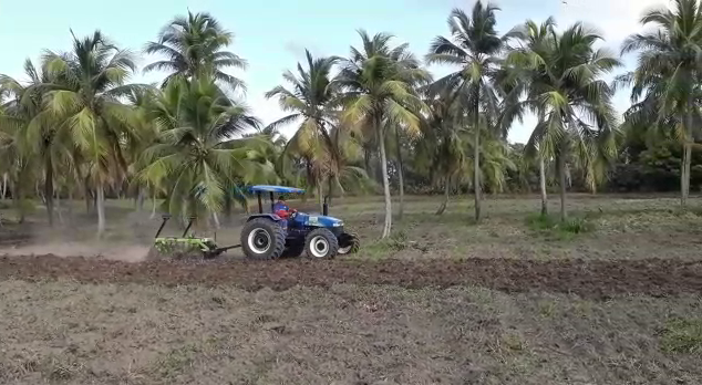 Trator arando a terra onde serão plantados milho, macaxeira, mandioca e feijão de corda
